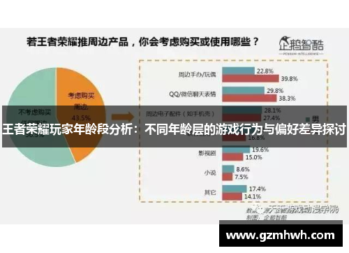 王者荣耀玩家年龄段分析：不同年龄层的游戏行为与偏好差异探讨